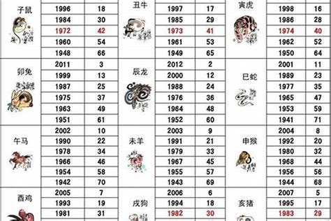 1982年属|1982年属什么生肖的命 1982年属狗是什么命